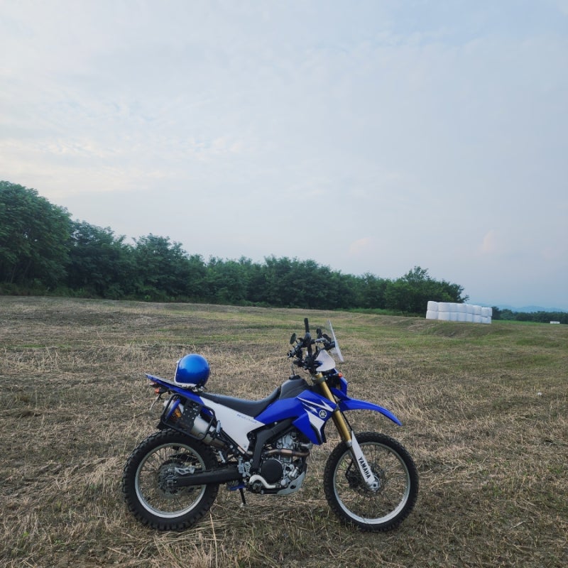 [자가정비] 야마하 WR250R 엔진오일 & 오일필터 셀프 교환 완벽 가이드 (규격, 용량, 토크값 정....