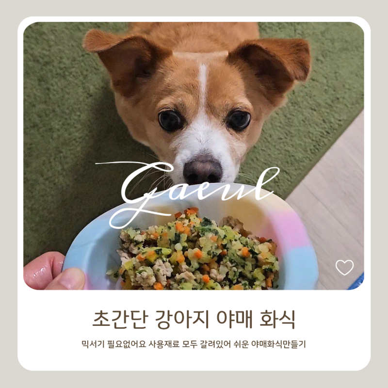강아지 화식 직접 만들어봤어요｜돼지고기·야채·고구마 초간단 레시피