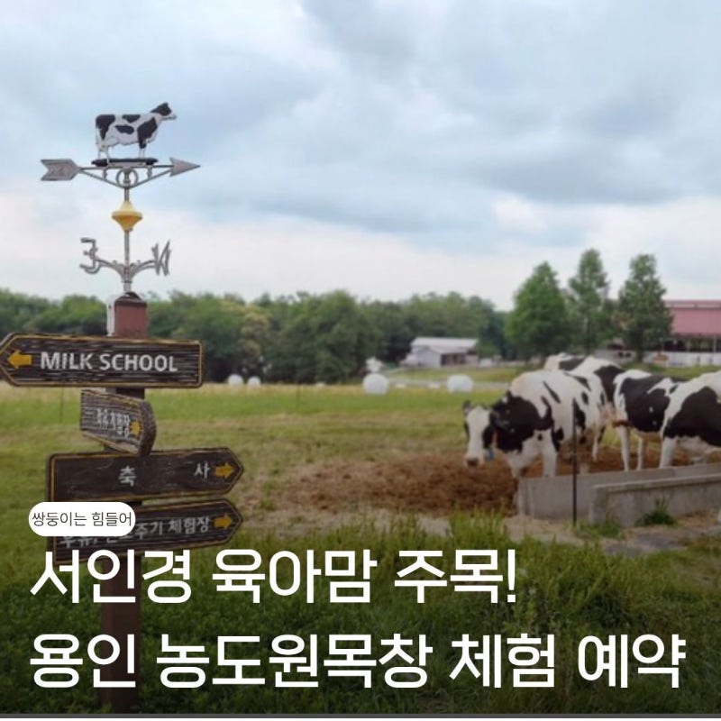 서인경 육아맘 필수? 용인 농도원목장 체험 예약하세요! 상세 후기와 방법 총정리