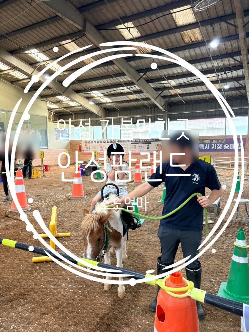 안성 아이와 가볼만한곳 안성팜랜드 승마체험 동물먹이주기 후기