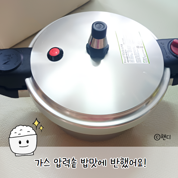 풍년 1954 손주물 압력밥솥 6인용 내돈내산 후기