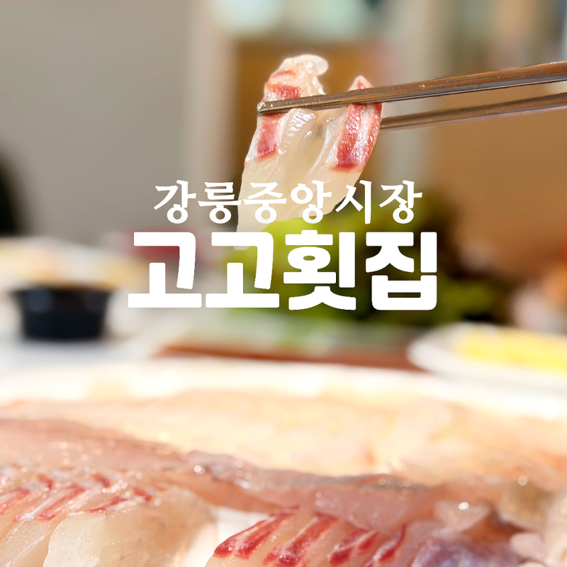 강릉 중앙시장 회포장 고고횟집 참돔세트 후기
