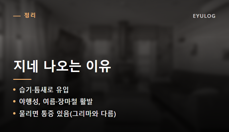 집에 지네가 나오는 이유, 아이 있는 집이라면 이것부터