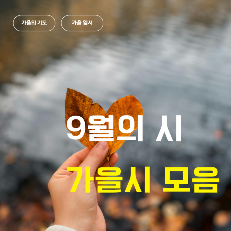 9월의 시, 가을시모음, 뉴질랜드는 봄시와 벚꽃시, 짧고 좋은 시, 김현승, 안도현 외