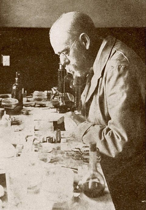 결핵 tuberculosis: 죽지 않고 기다리는 균-결핵, 4,000년의 실패와 반전, 그리고 2026년의 치료 혁....