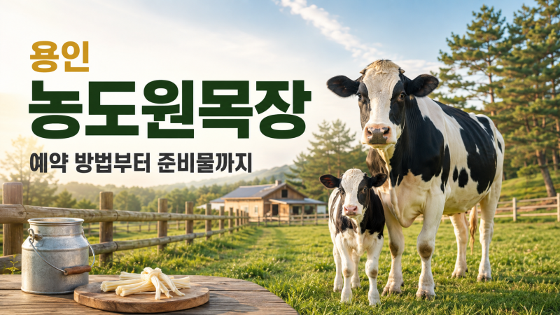 용인 농도원목장 예약 방법과 준비물｜아이와 가보고 싶은 자연 치유공간, 동물과 교감하고 ....