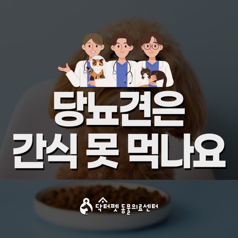 당뇨견도 먹고 살아야죠? 현실적인 간식과 식이 가이드라인 개금 강아지 동물병원