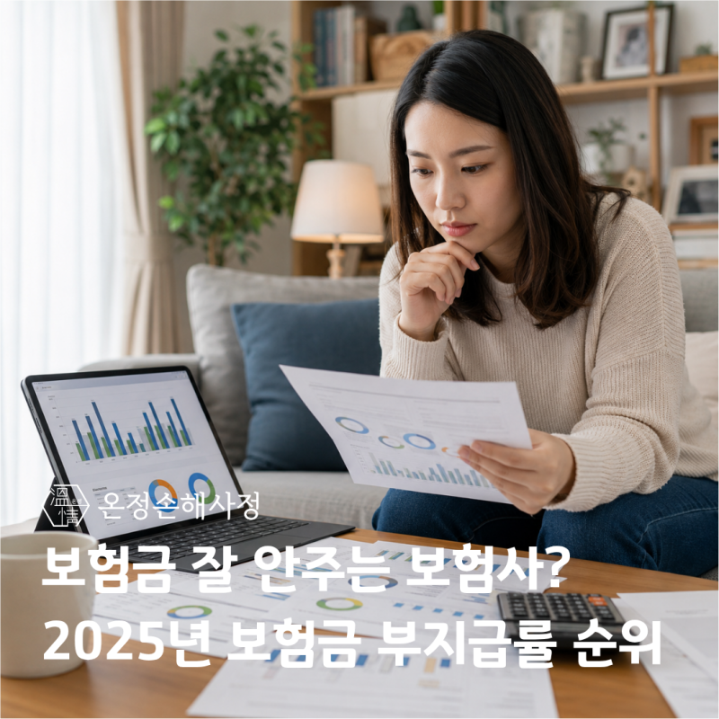 보험금 잘 안주는 보험사는 어디일까? 2025년 보험금 부지급률 순위 공개