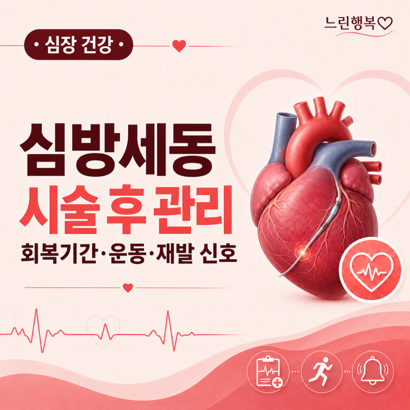 8탄. 심방세동 전극도자절제술 후 관리｜회복기간·운동·재발 신호는 어떻게 확인할까요?
