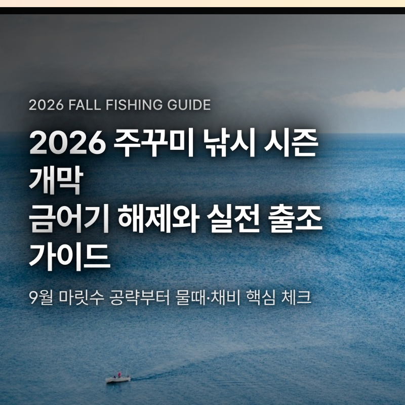 주꾸미 금어기 해제, 9월 선상 배낚시 채비와 물때 선택 기준 4가지