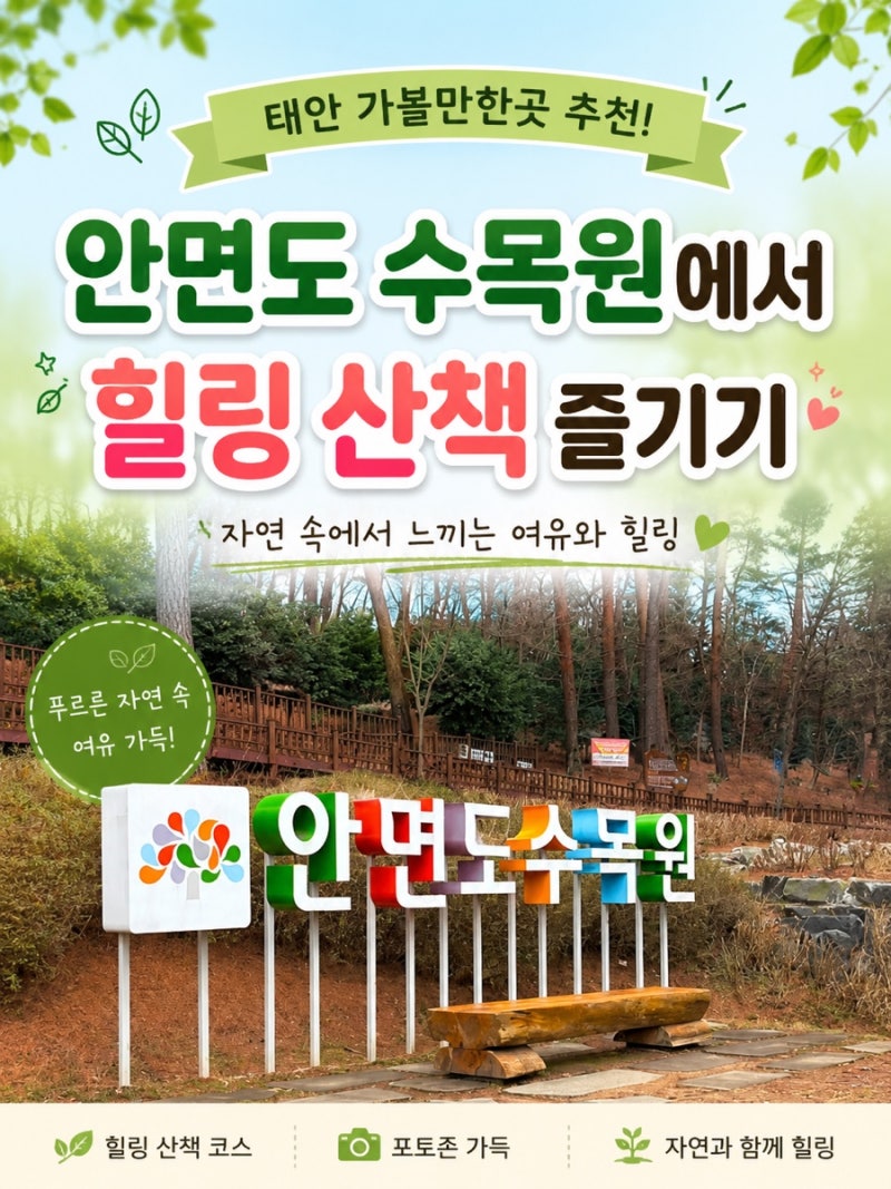 태안 가볼만한곳 추천! 안면도 수목원에서 힐링 산책 즐기기