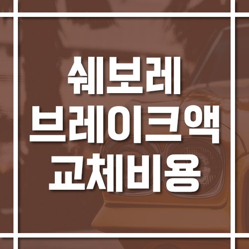 쉐보레 브레이크액 교체 비용 및 교체 주기, 차종별 관리 방법