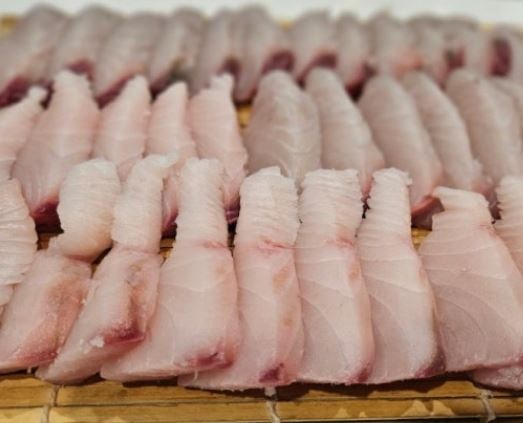 “고등어와 닮았지만 맛은 다르다? 삼치와 고등어의 영양과 식감 차이”