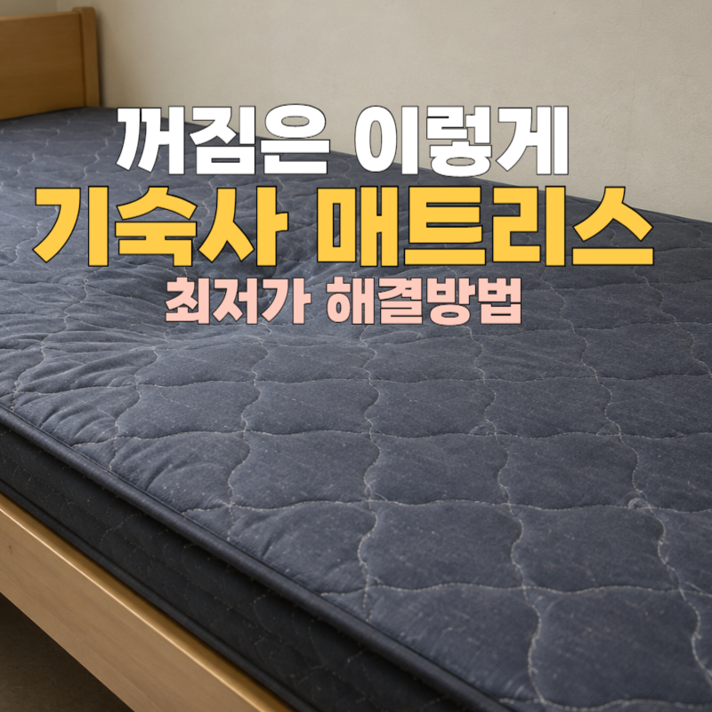 기숙사 매트리스 꺼짐 최저가 해결방법 : 자취방 침구 고민이라면 토퍼 하나 깔아보세요