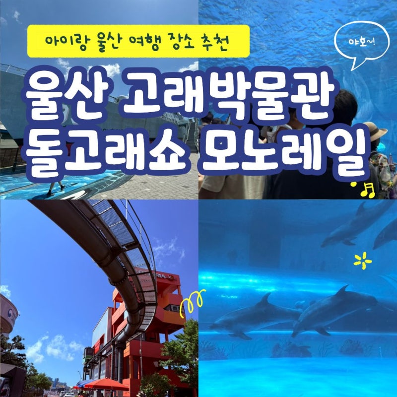울산 고래박물관 돌고래쇼 모노레일 장생포마을 아기랑여행