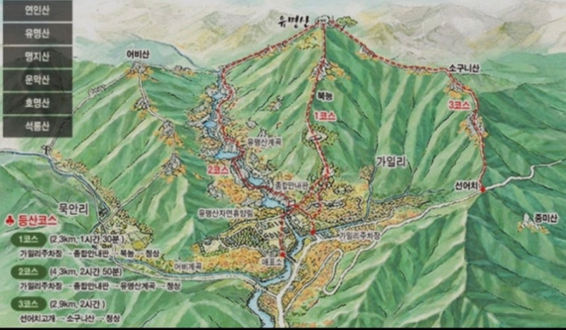 유명산등산코스 선택 전 알아두면 좋은 구간별 난이도 정보