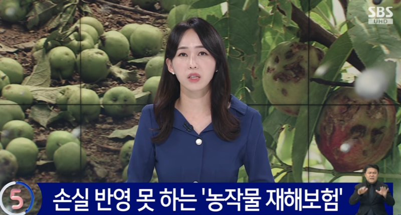 2026 농작물재해보험 가입방법 및 보험료 지원 총정리｜농업 지원금·정부 보조금 알아보기