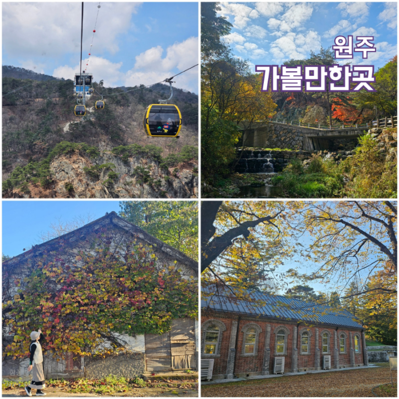 Recommended Autumn Travel Destinations in Wonju, Gangwon-do