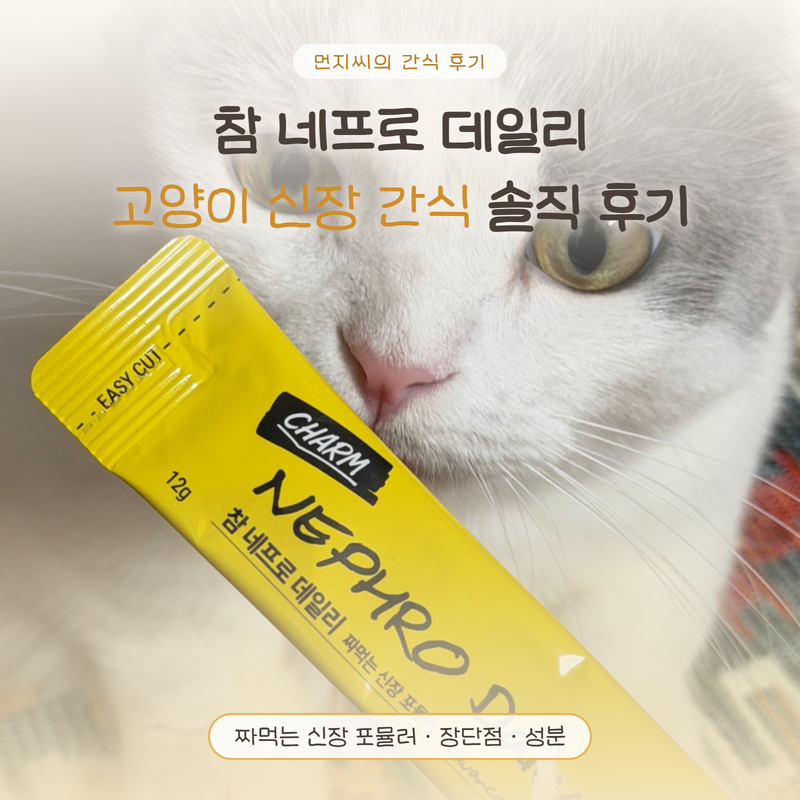 [페피테일 참 네프로] 데일리 고양이 강아지 신장 영양제 비교 급여 후기
