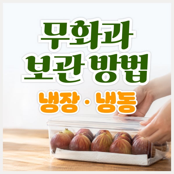 무화과 보관 방법, 냉장부터 냉동까지 오래 보관하는 법