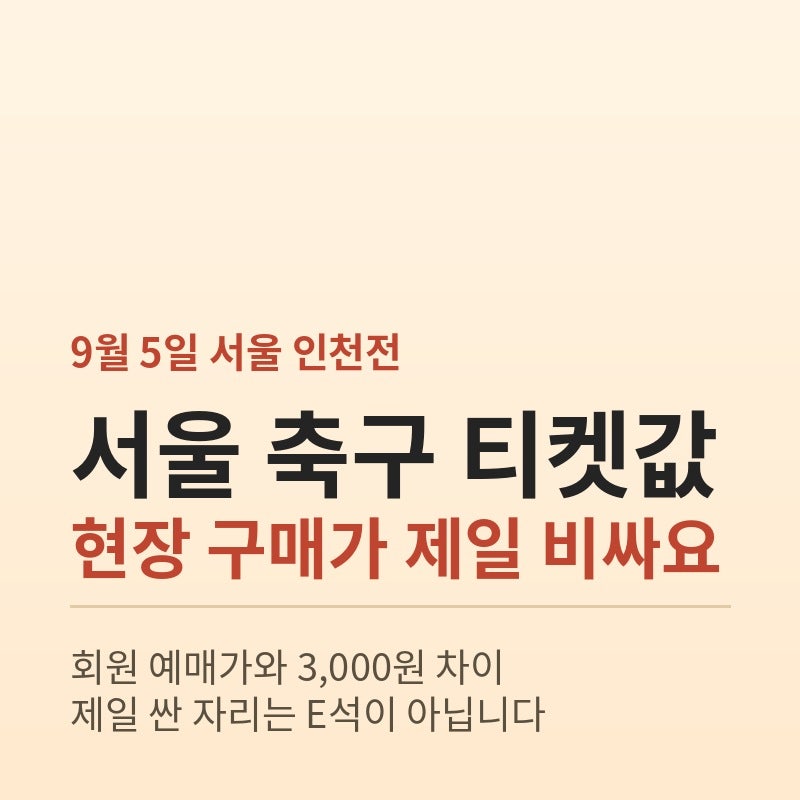 FC서울 티켓 가격 정리, 제일 싼 자리는 E석이 아니에요