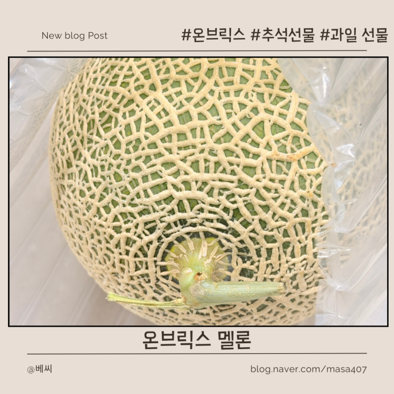 온브릭스 멜론 후기, 부모님 추석 선물로도 좋은 달콤한 과일