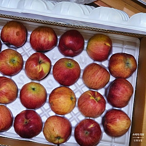 현대홈쇼핑 '100% 경북 제철 햇 홍로사과 4.5kg' 내돈내산