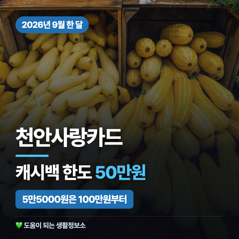 천안사랑카드 캐시백 한도 50만원 사용처, 5만5000원은 100만원부터