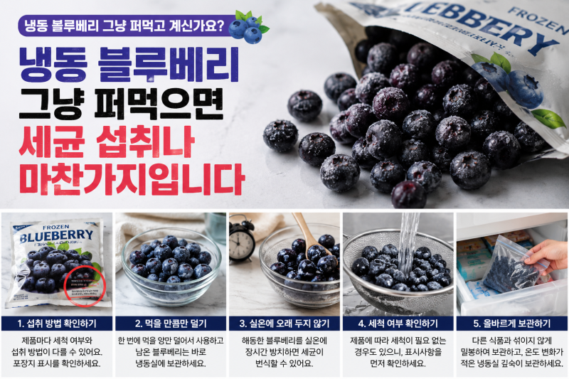냉동 블루베리 그냥 퍼먹고 계신가요? 먹기 전에 꼭 확인해야 할 것