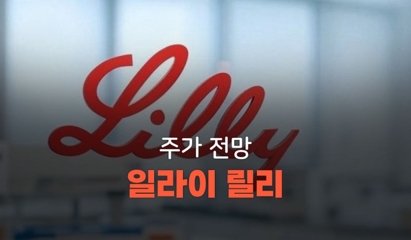 일라이 릴리 주가 전망, 비만약 독주와 1조달러 밸류에이션의 균형