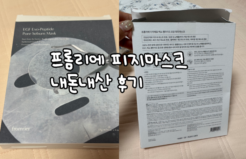 프롬리에 피지팩 내돈내산 찐후기 (피지팩 주기,시간/비추천 이유)