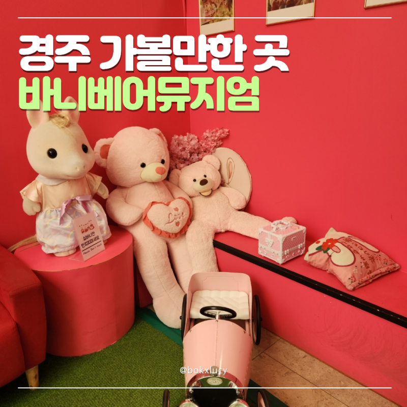 경주 가볼만한 곳 | 바니베어뮤지엄 후기 | 아이와 가볼만한 곳 · 실내 포토존 추천
