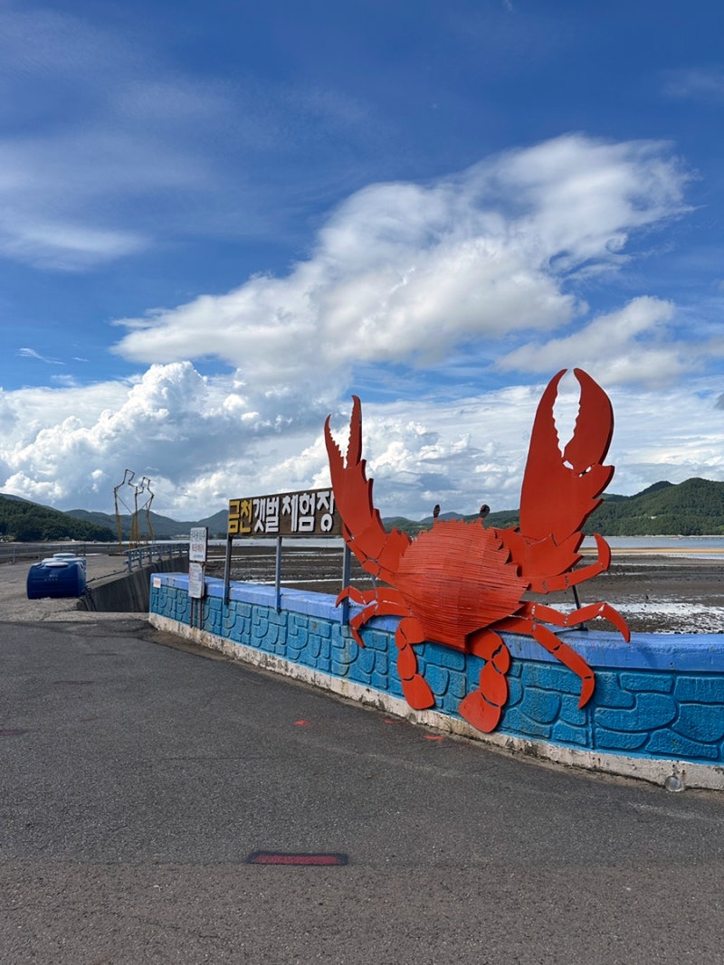 Gyeongsangnam-do, Namhae Tidal Flat Experience: Catching Whelks and Mudskippers at Geumcheon Tidal Flat