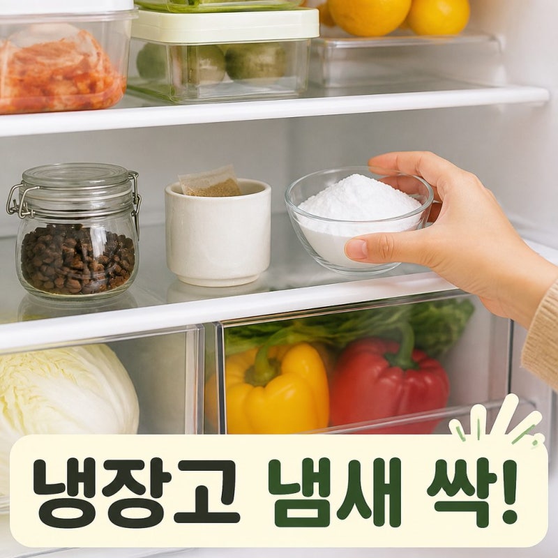 냉장고 냄새 제거 방법｜집에 있는 재료로 해결하는 법