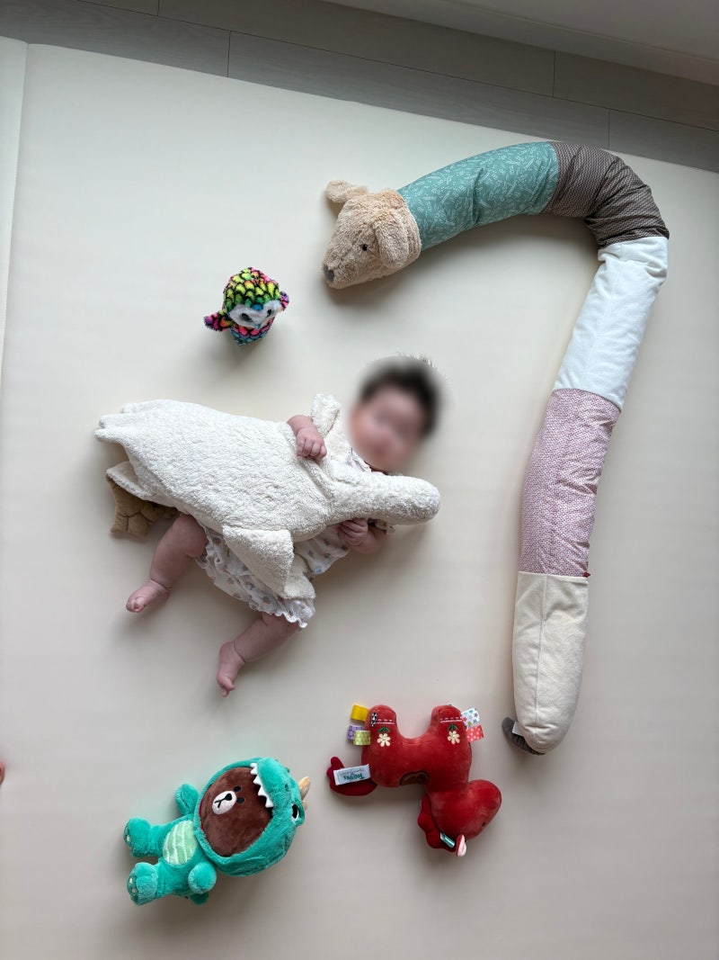 출산·아기 선물 추천 애착인형 총정리, 젤리캣 태기스 센저 등