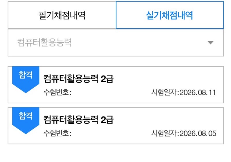 컴활 필기 1급 따고 실기 학원도 다녔는데 2급으로 도망간 사람의 후기