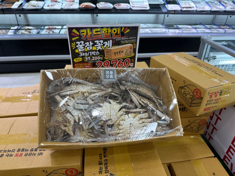 롯데마트 꽃게 꿀잠꽃게 3Kg 행사기간 카드할인 | 꽃게 손질, 크기비교, 내돈내산 후기 (feat.꽃....
