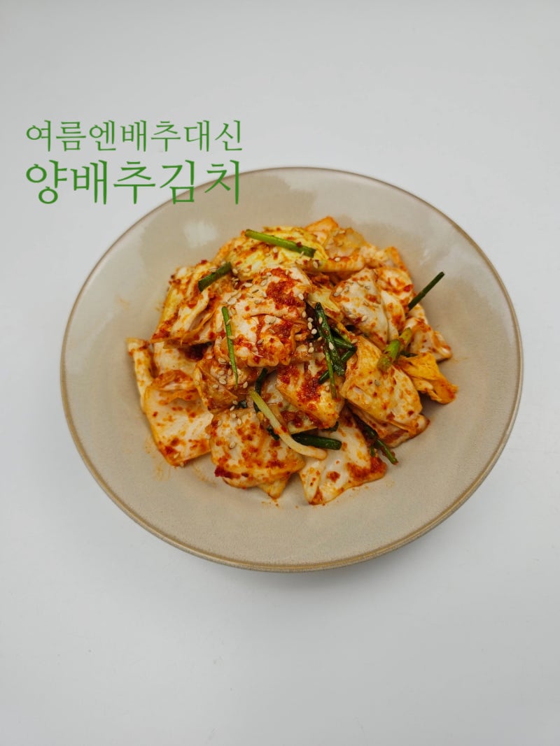 양배추 김치 담그는 법 양배추 요리 레시피