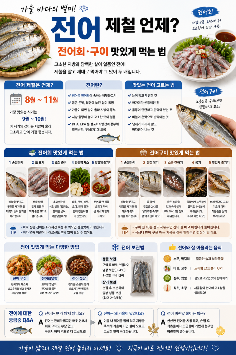 전어 제철 언제?｜전어회·구이 맛있게 먹는 법