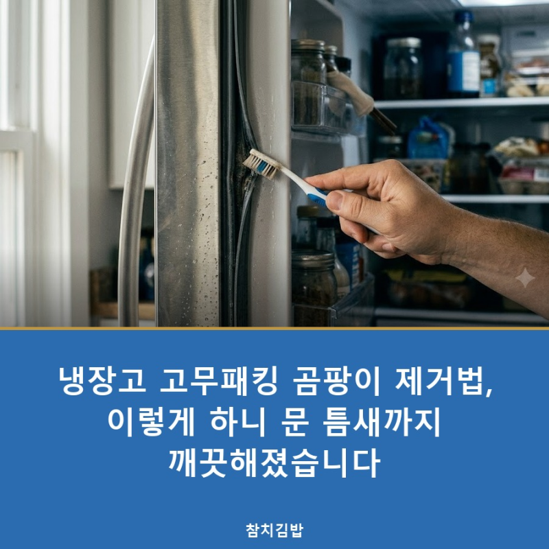 냉장고 고무패킹 곰팡이 제거법, 이렇게 하니 문 틈새까지 깨끗해졌습니다