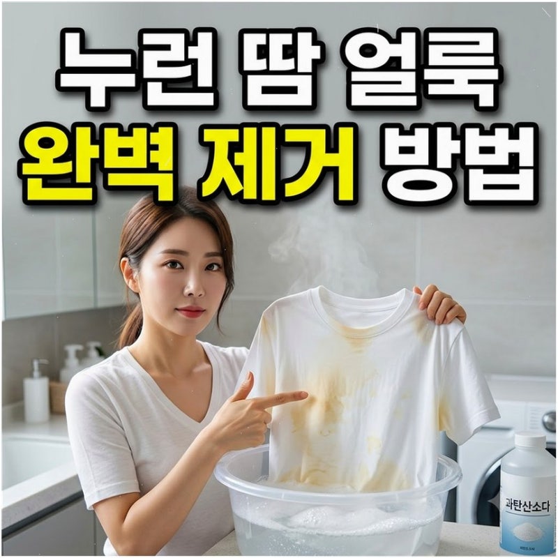 누렇게 변한 흰 옷 땀얼룩 황변 제거법 세탁 전 꼭 확인할 손상 주의 섬유와 구연산 중화