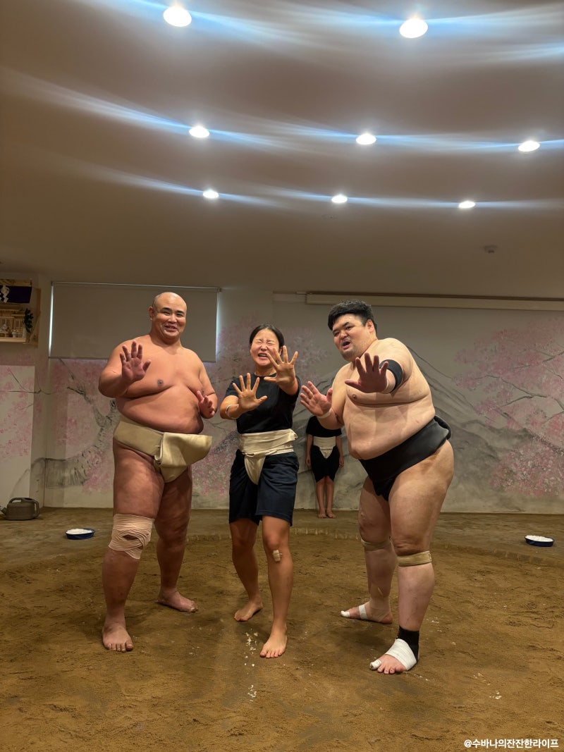 일본에서 스모배우기! 오사카 이색체험 추천해요~