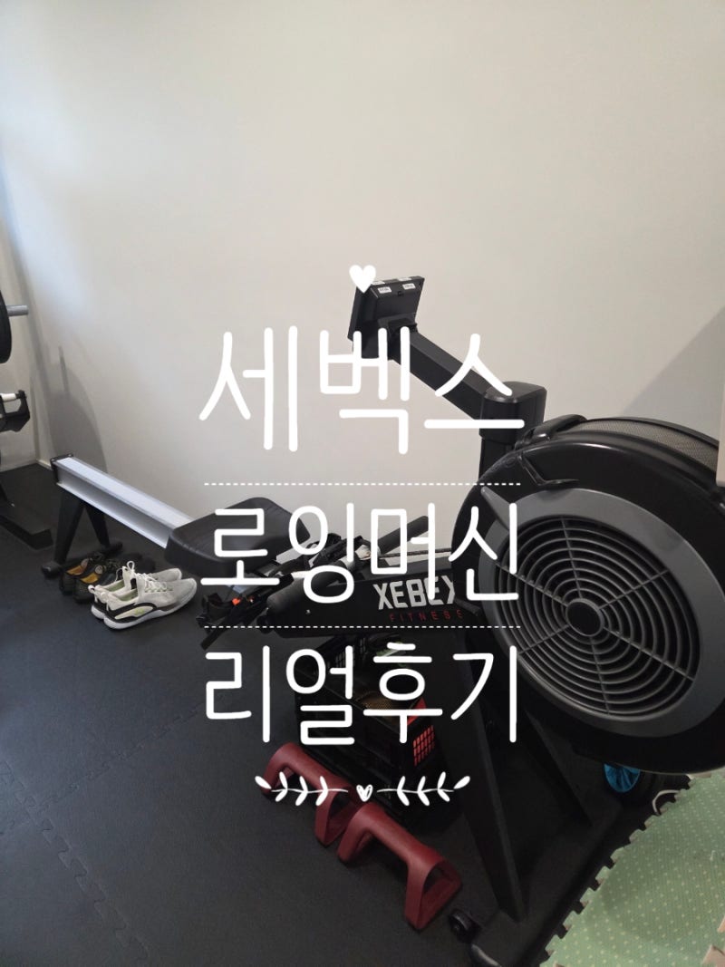 세벡스 로잉머신 내돈내산 후기