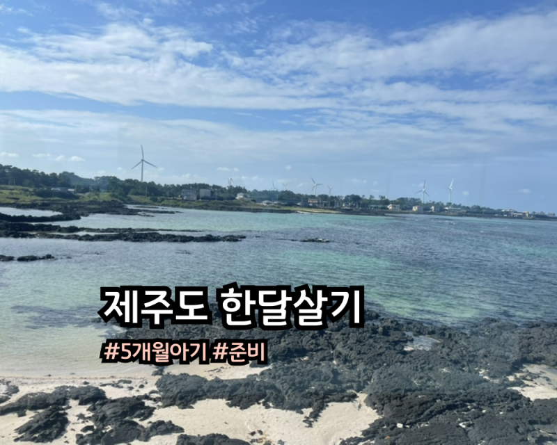 T. 아기랑 제주 한달살기 : 5개월 아기랑 떠나는 제주도 한달살기 준비