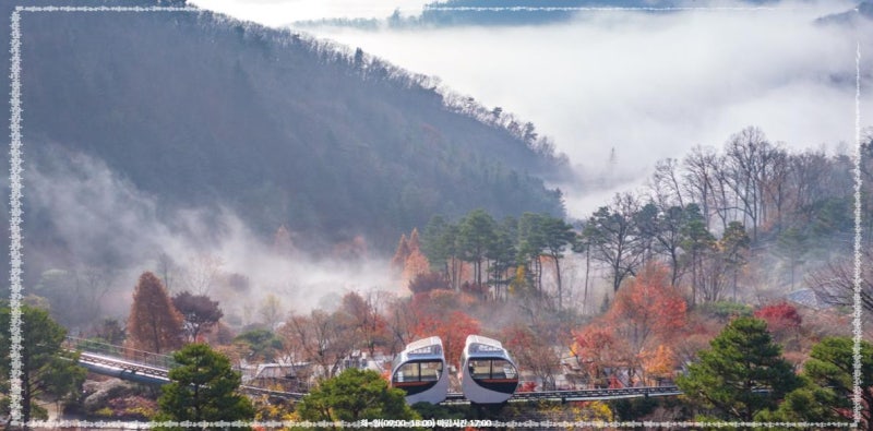 [광주 가볼만한곳] 화담숲 첫 방문 필수 지침서! 예매 팁·입장 요금·준비물 한눈에 보기