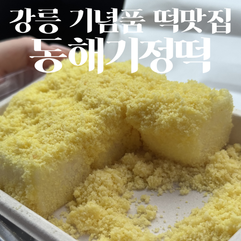 강릉 기념품 떡 맛집 동해기정떡 솔직후기
