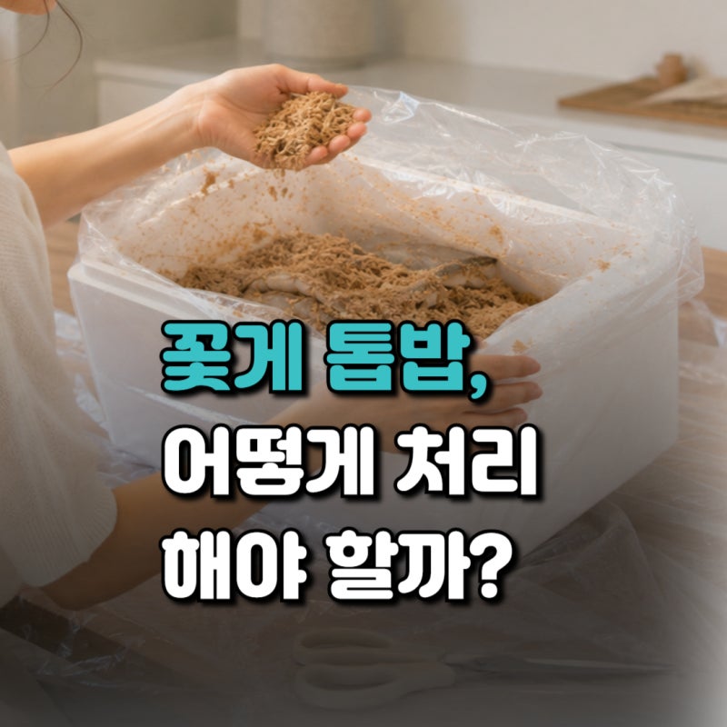 꽃게 톱밥 버리는 방법부터 톱밥 넣는 이유,냉동 보관 방법까지 총정리