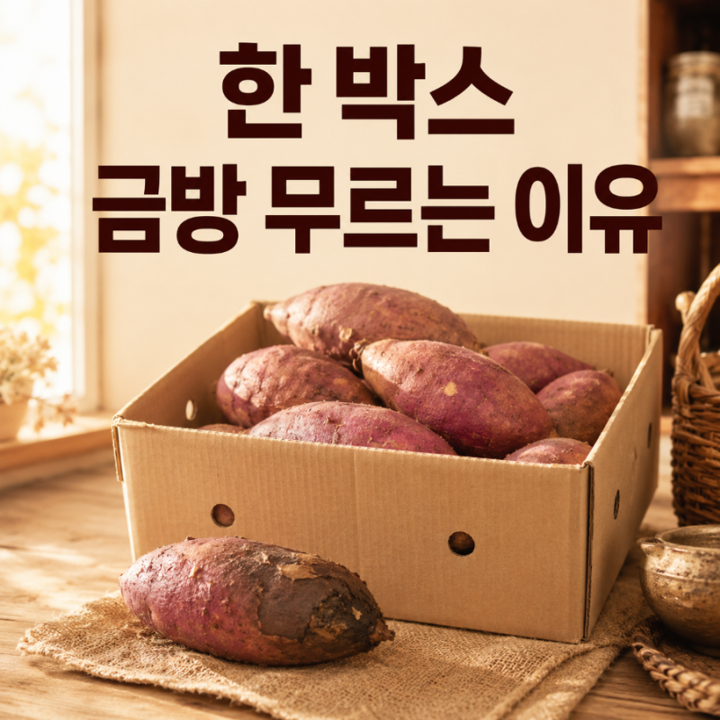 고구마 한 박스 금방 무르는 이유, 보관 장소부터 확인하세요
