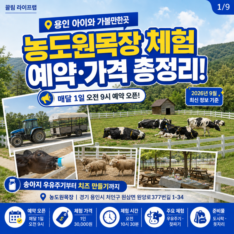 용인 농도원목장 체험 예약 가격 준비물 팁