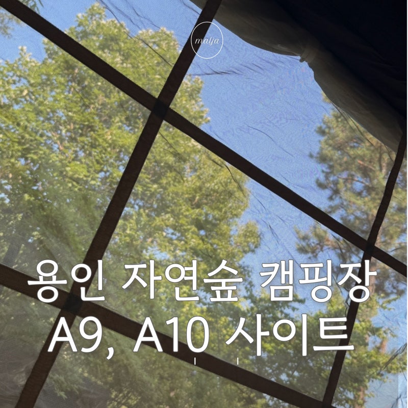 아이랑 용인 캠핑장 추천, 자연숲 캠핑장 A9 A10 후기